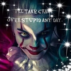 Meet your Posher, Joy